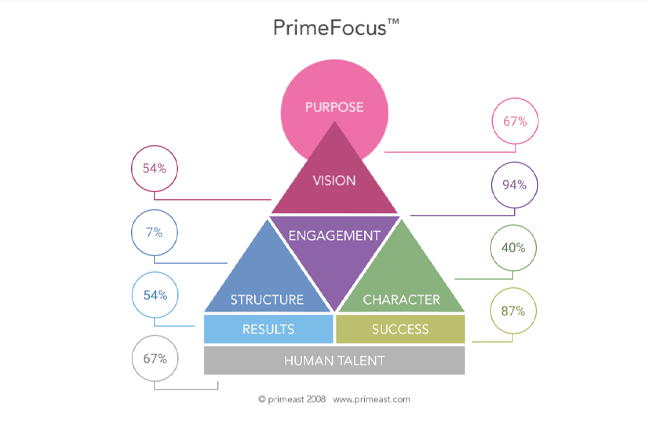 PrimeFocus report | Purpose, Vision, Alignment, Engagement